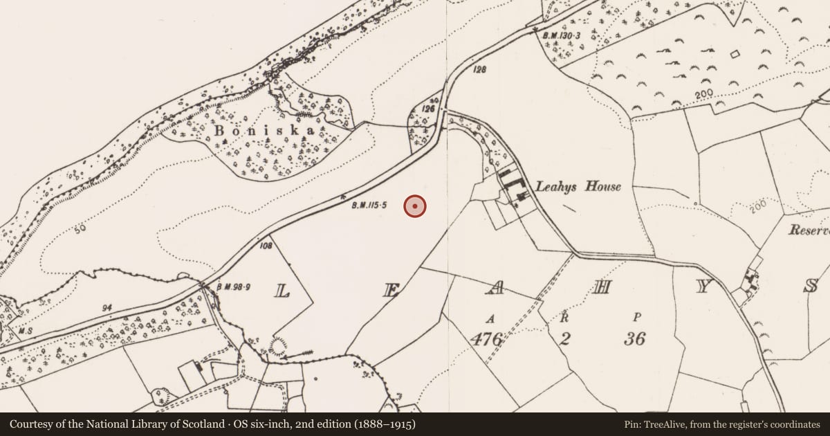 Ordnance Survey six-inch map, 2nd edition (1888–1915) covering the location of Standing stone, Leahys, County Limerick, with a pin at the register's coordinates