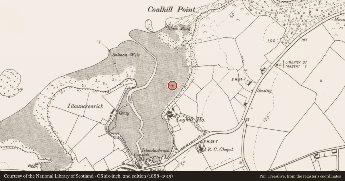 Ordnance Survey six-inch map, 2nd edition (1888–1915) covering the location of Weir - fish, Loghill, County Limerick, with a pin at the register's coordinates