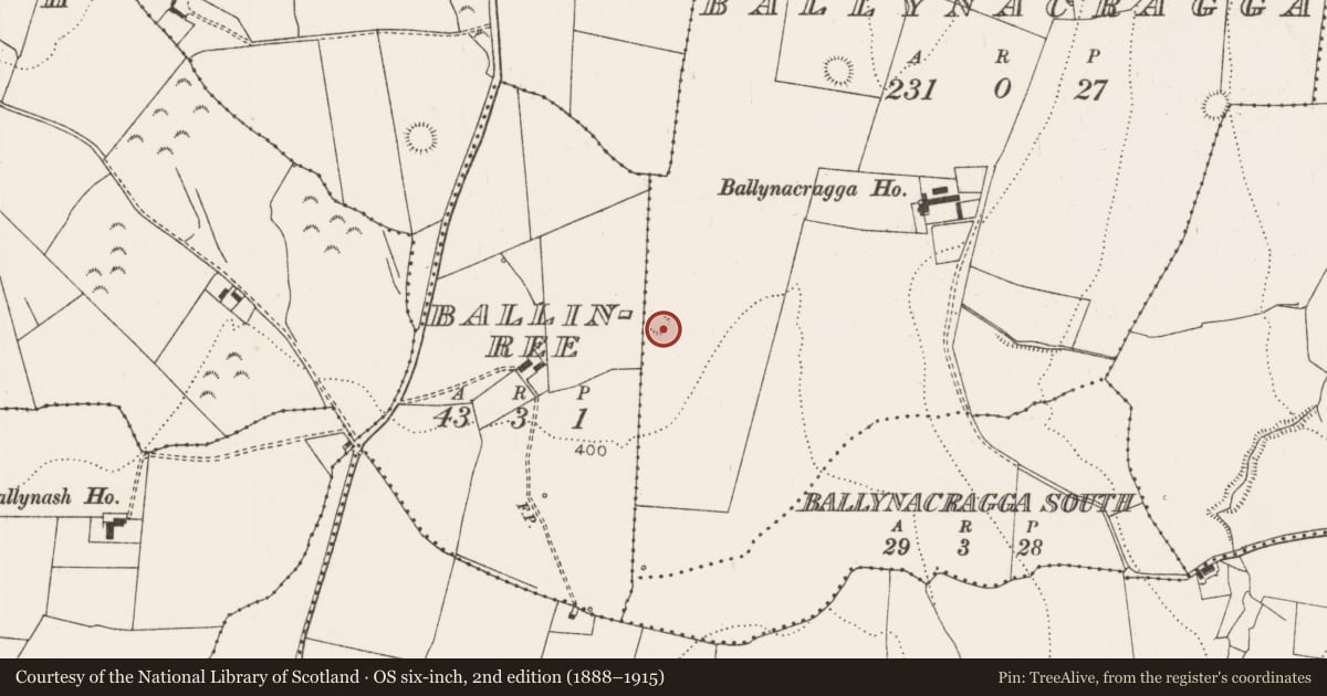 Ordnance Survey six-inch map, 2nd edition (1888–1915) covering the location of Ringfort - rath, Ballynacragga, County Limerick, with a pin at the register's coordinates