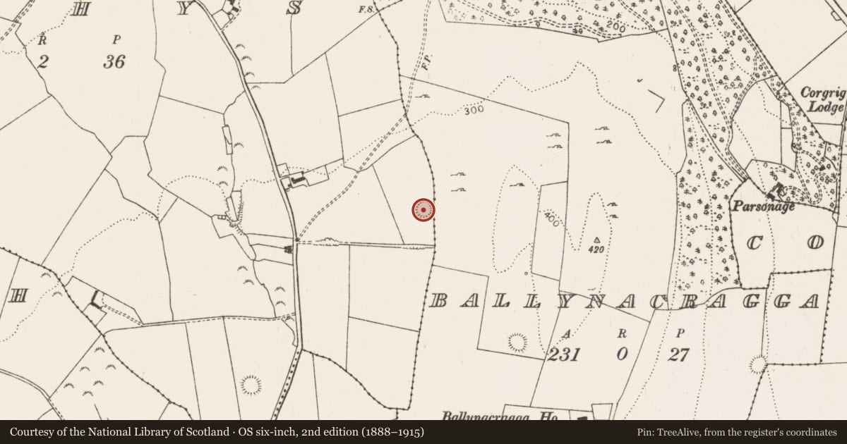 Ordnance Survey six-inch map, 2nd edition (1888–1915) covering the location of Ringfort - rath, Leahys, County Limerick, with a pin at the register's coordinates