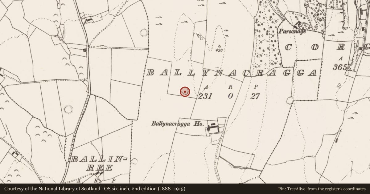 Ordnance Survey six-inch map, 2nd edition (1888–1915) covering the location of Ringfort - rath, Ballynacragga, County Limerick, with a pin at the register's coordinates