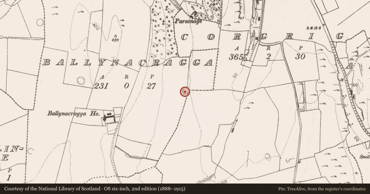 Ordnance Survey six-inch map, 2nd edition (1888–1915) covering the location of Ringfort - rath, Ballynacragga, County Limerick, with a pin at the register's coordinates