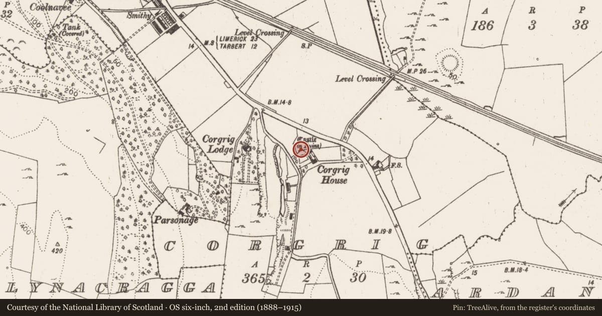 Ordnance Survey six-inch map, 2nd edition (1888–1915) covering the location of Castle - tower house, Corgrig, County Limerick, with a pin at the register's coordinates