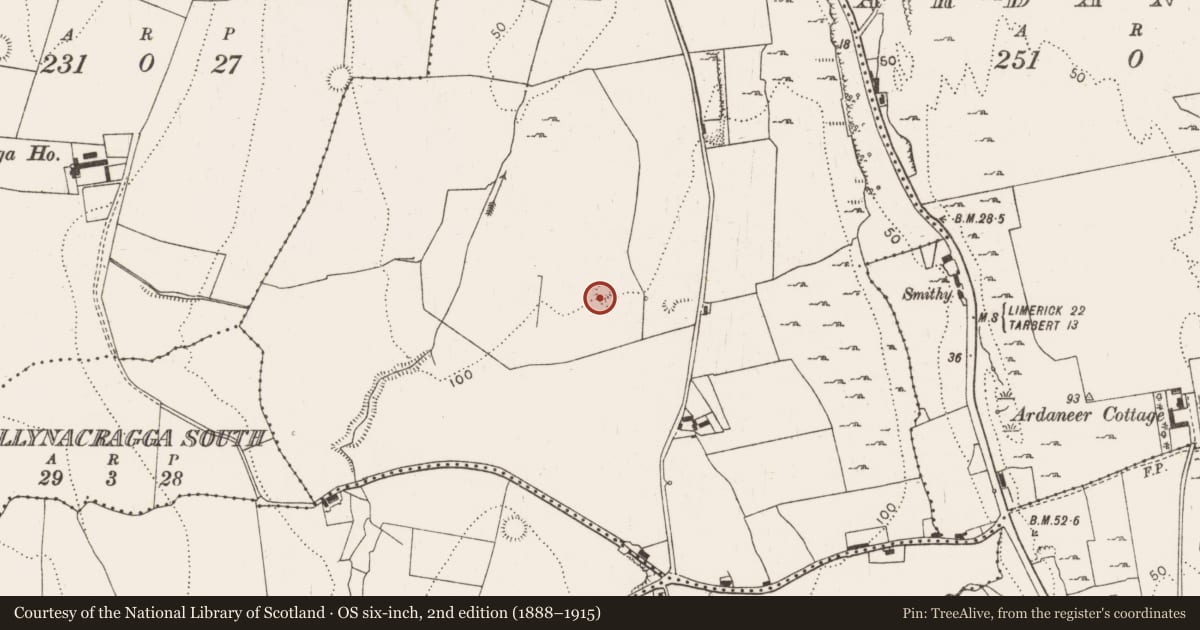Ordnance Survey six-inch map, 2nd edition (1888–1915) covering the location of Ringfort - rath, Corgrig, County Limerick, with a pin at the register's coordinates