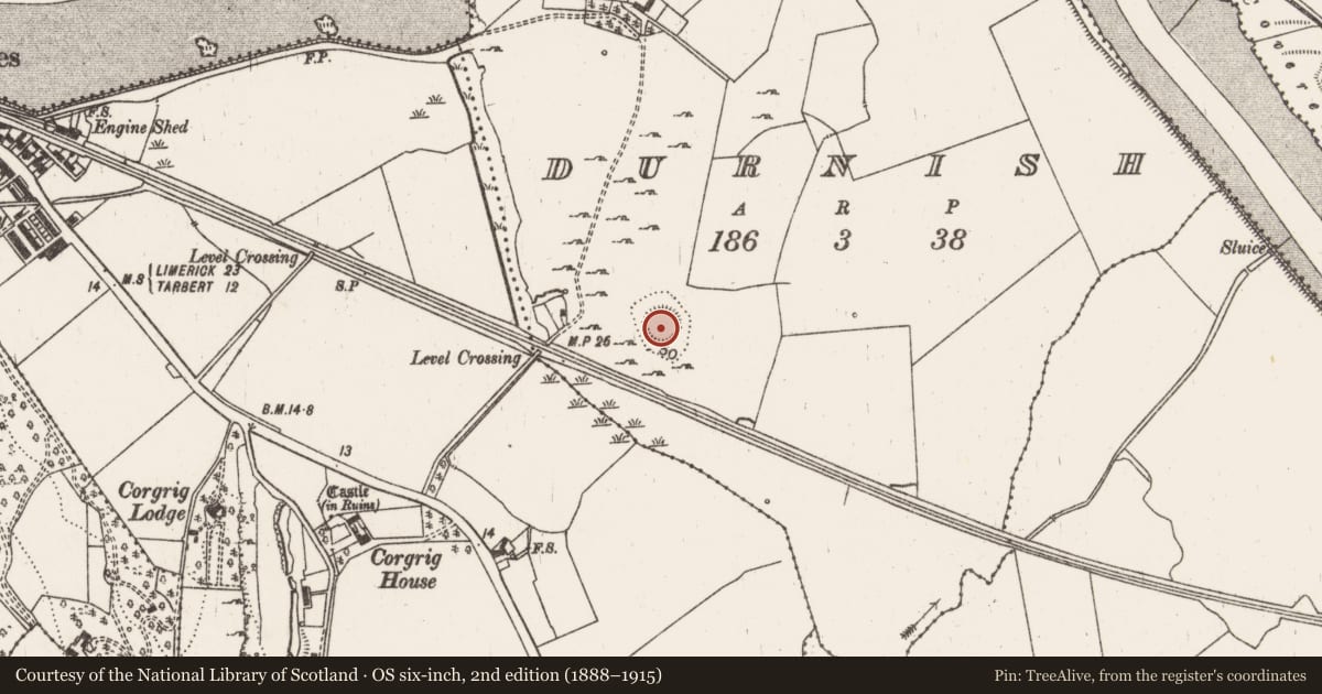 Ordnance Survey six-inch map, 2nd edition (1888–1915) covering the location of Enclosure, Durnish, County Limerick, with a pin at the register's coordinates