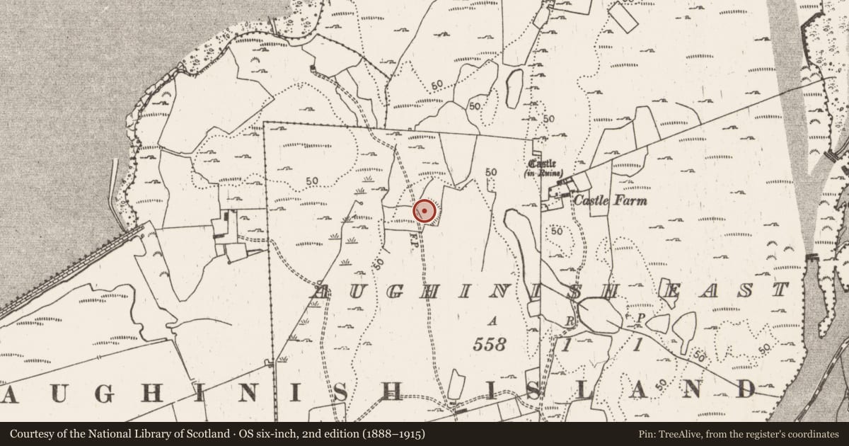 Ordnance Survey six-inch map, 2nd edition (1888–1915) covering the location of Enclosure, Aughinish East, County Limerick, with a pin at the register's coordinates