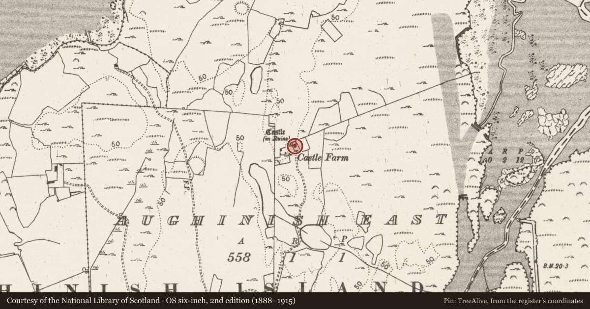 Ordnance Survey six-inch map, 2nd edition (1888–1915) covering the location of Castle - tower house, Aughinish East, County Limerick, with a pin at the register's coordinates