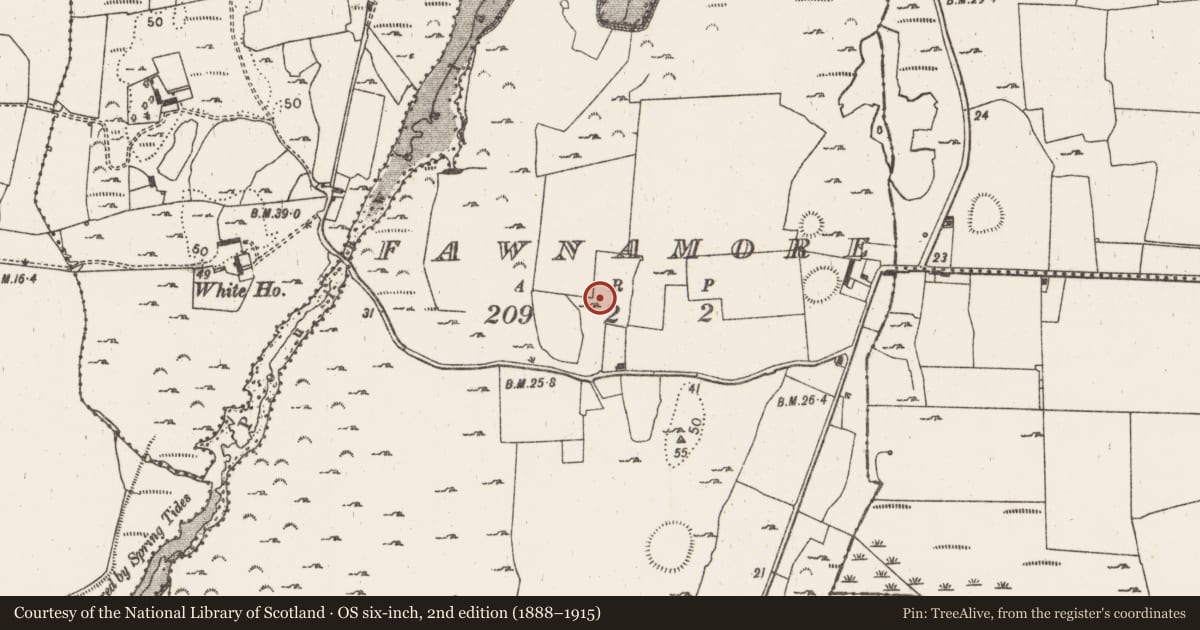 Ordnance Survey six-inch map, 2nd edition (1888–1915) covering the location of Ringfort - rath, Fawnamore, County Limerick, with a pin at the register's coordinates