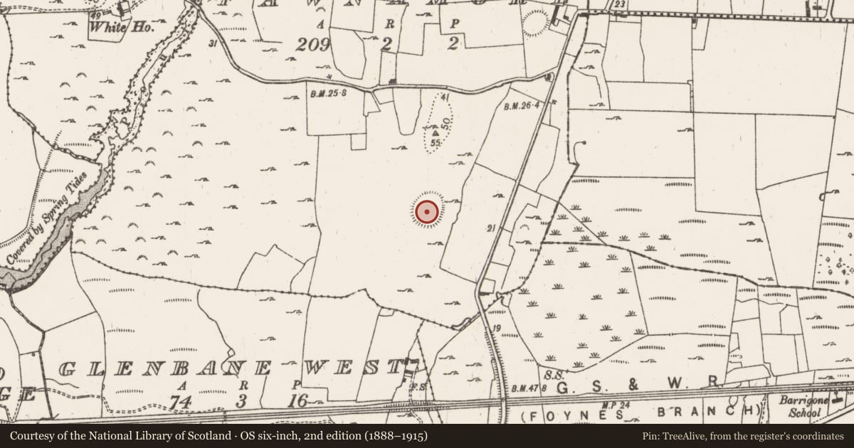 Ordnance Survey six-inch map, 2nd edition (1888–1915) covering the location of Ringfort - cashel, Fawnamore, County Limerick, with a pin at the register's coordinates