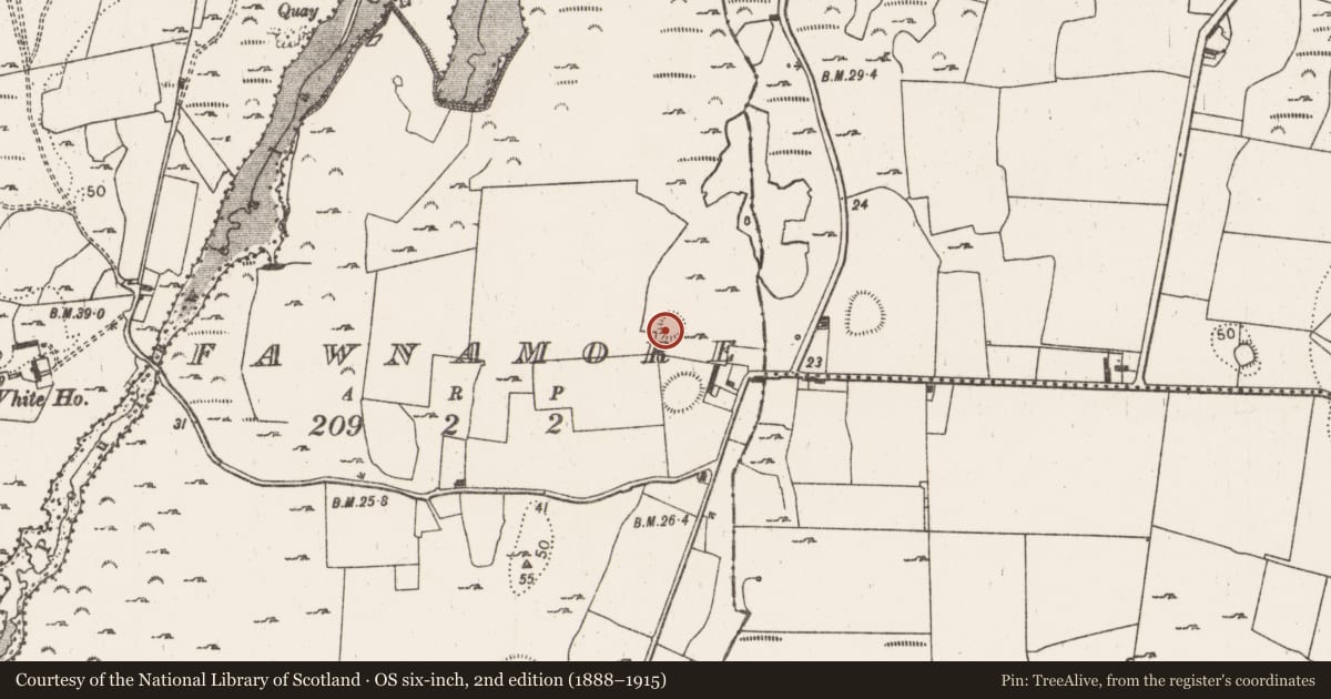 Ordnance Survey six-inch map, 2nd edition (1888–1915) covering the location of Ringfort - rath, Fawnamore, County Limerick, with a pin at the register's coordinates