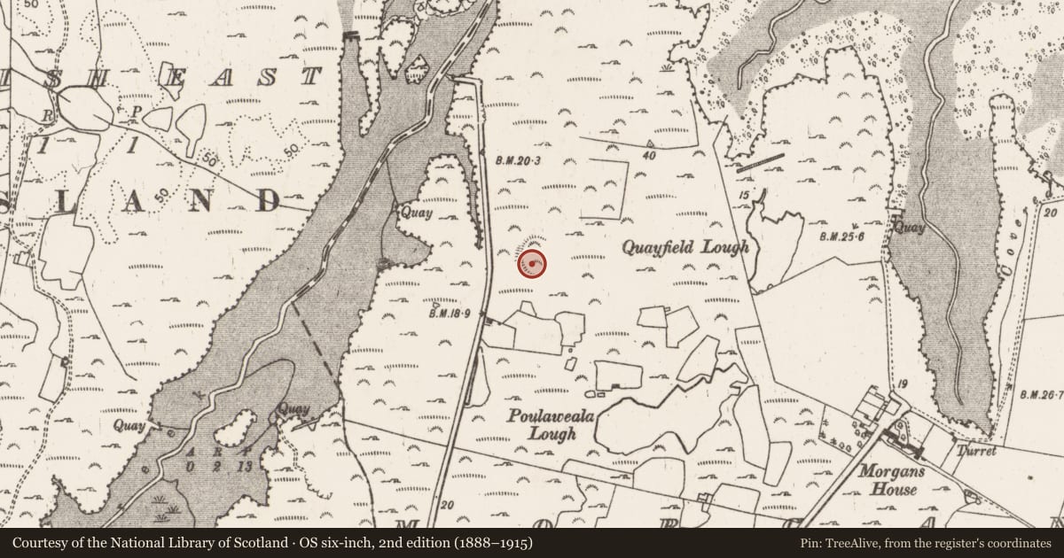 Ordnance Survey six-inch map, 2nd edition (1888–1915) covering the location of Moated site, Morgans North, County Limerick, with a pin at the register's coordinates
