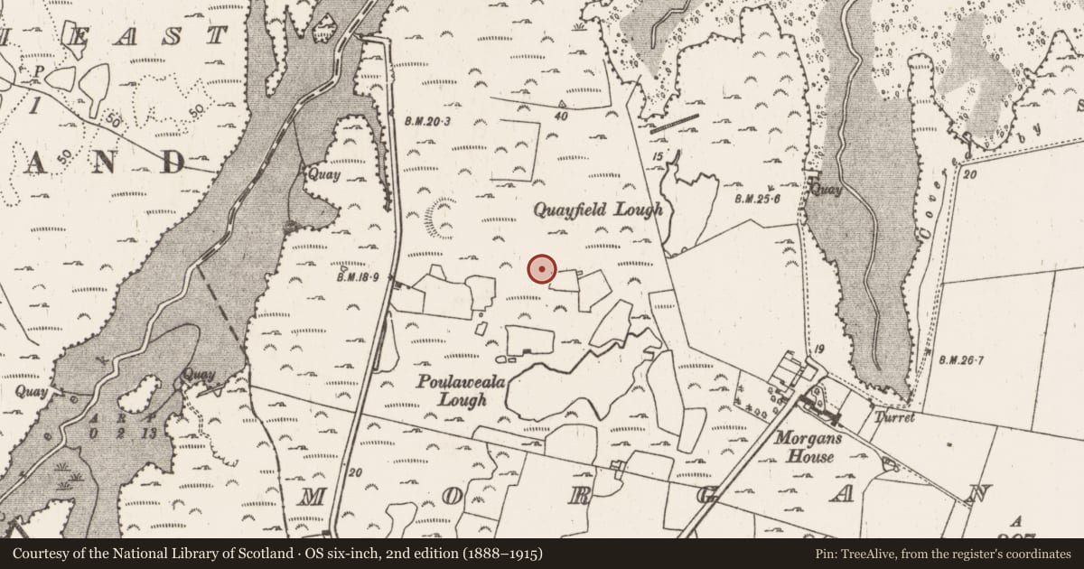 Ordnance Survey six-inch map, 2nd edition (1888–1915) covering the location of Ringfort - cashel, Morgans North, County Limerick, with a pin at the register's coordinates