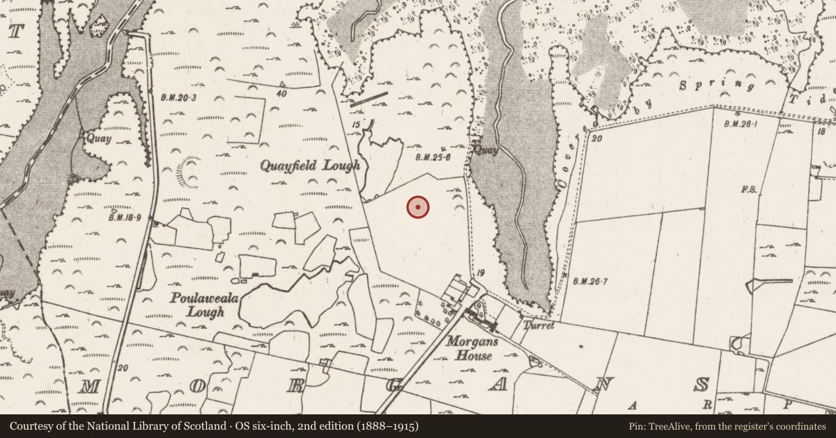 Ordnance Survey six-inch map, 2nd edition (1888–1915) covering the location of Enclosure, Morgans North, County Limerick, with a pin at the register's coordinates