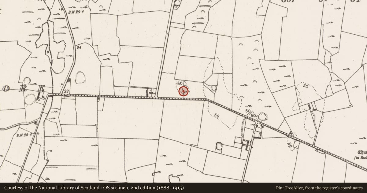 Ordnance Survey six-inch map, 2nd edition (1888–1915) covering the location of Ringfort - cashel, Morgans North, County Limerick, with a pin at the register's coordinates