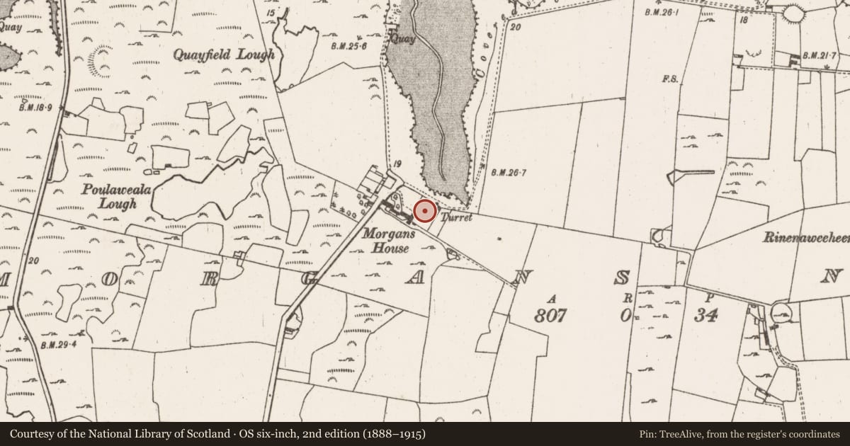 Ordnance Survey six-inch map, 2nd edition (1888–1915) covering the location of Bawn, Morgans North, County Limerick, with a pin at the register's coordinates