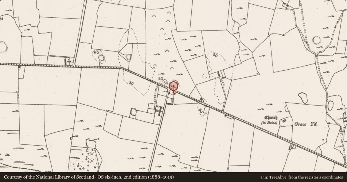 Ordnance Survey six-inch map, 2nd edition (1888–1915) covering the location of Ringfort - rath, Morgans North, County Limerick, with a pin at the register's coordinates