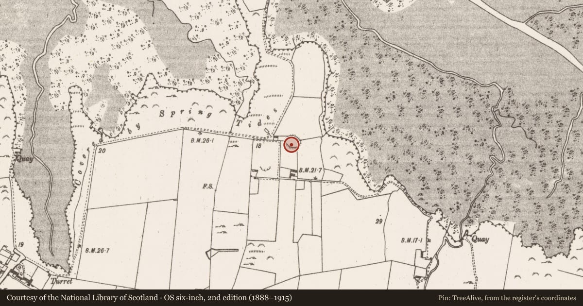 Ordnance Survey six-inch map, 2nd edition (1888–1915) covering the location of Ringfort - rath, Morgans North, County Limerick, with a pin at the register's coordinates
