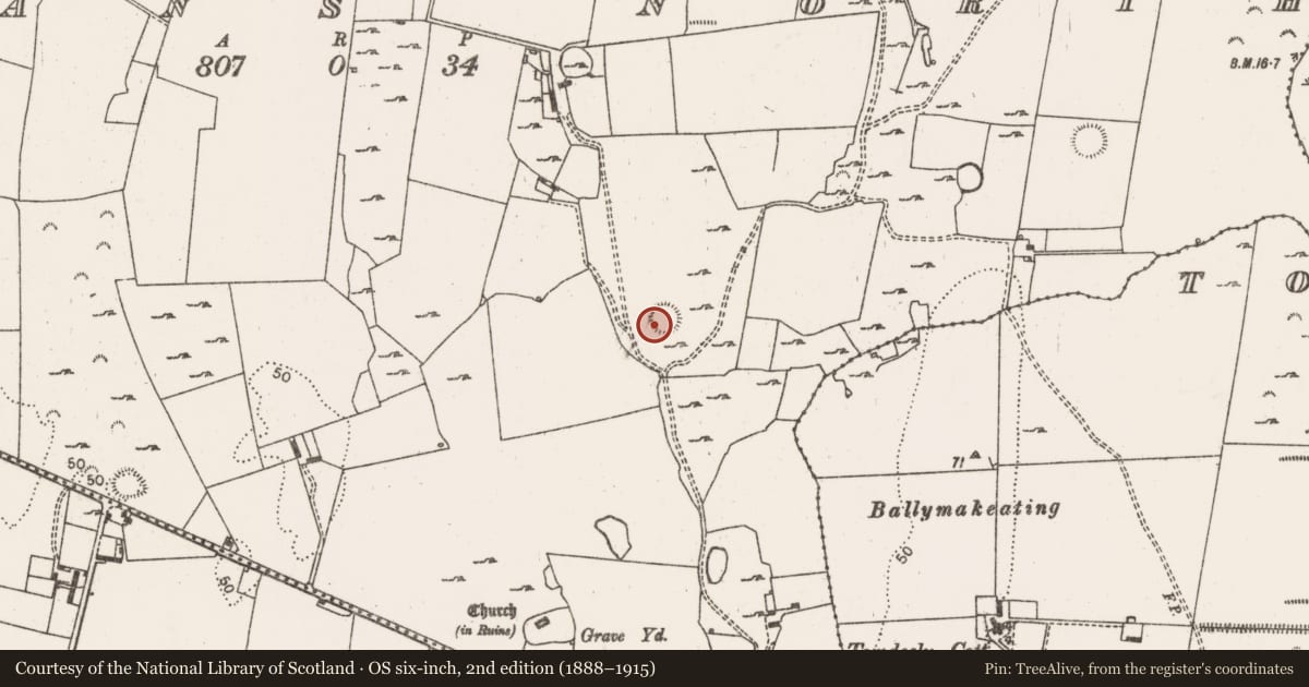 Ordnance Survey six-inch map, 2nd edition (1888–1915) covering the location of Ringfort - cashel, Morgans North, County Limerick, with a pin at the register's coordinates