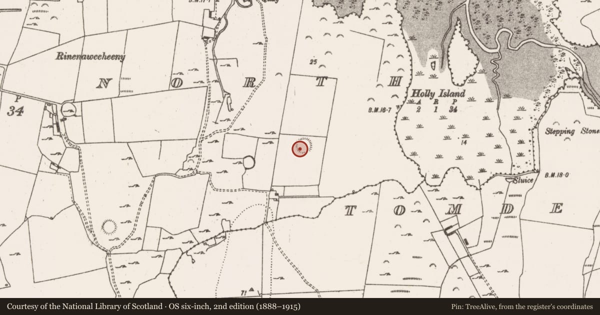 Ordnance Survey six-inch map, 2nd edition (1888–1915) covering the location of Ringfort - rath, Morgans North, County Limerick, with a pin at the register's coordinates