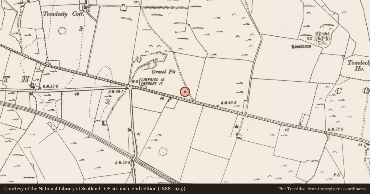Ordnance Survey six-inch map, 2nd edition (1888–1915) covering the location of Ringfort - rath, Tomdeely North, County Limerick, with a pin at the register's coordinates