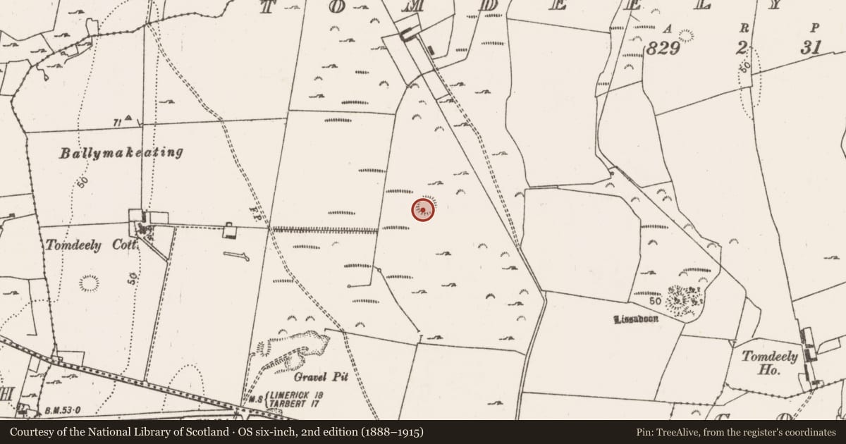 Ordnance Survey six-inch map, 2nd edition (1888–1915) covering the location of Ringfort - rath, Tomdeely North, County Limerick, with a pin at the register's coordinates