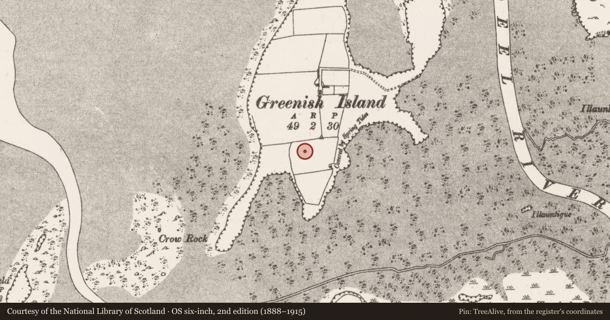 Ordnance Survey six-inch map, 2nd edition (1888–1915) covering the location of Enclosure - large enclosure, Greenish Island, County Limerick, with a pin at the register's coordinates