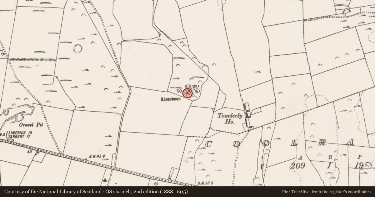 Ordnance Survey six-inch map, 2nd edition (1888–1915) covering the location of Ringfort - rath, Tomdeely North, County Limerick, with a pin at the register's coordinates