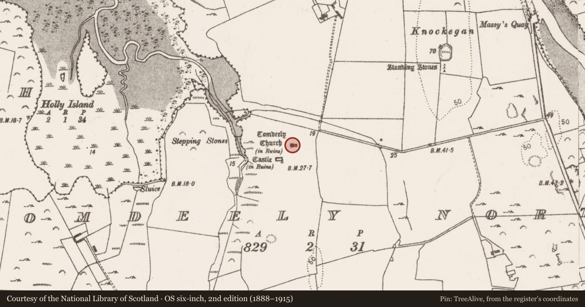 Ordnance Survey six-inch map, 2nd edition (1888–1915) covering the location of Church, Tomdeely North, County Limerick, with a pin at the register's coordinates