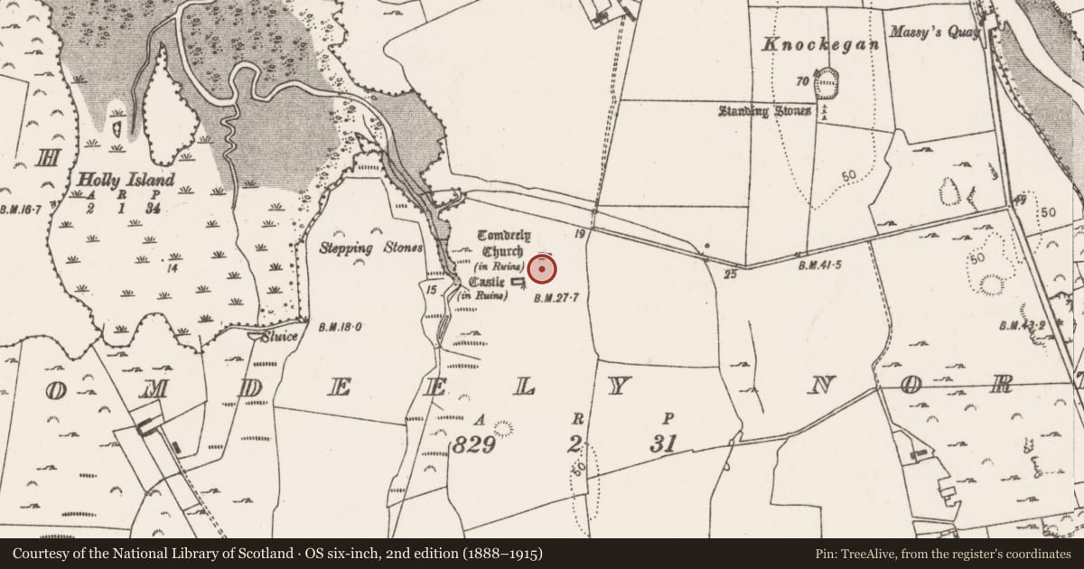 Ordnance Survey six-inch map, 2nd edition (1888–1915) covering the location of Graveyard, Tomdeely North, County Limerick, with a pin at the register's coordinates