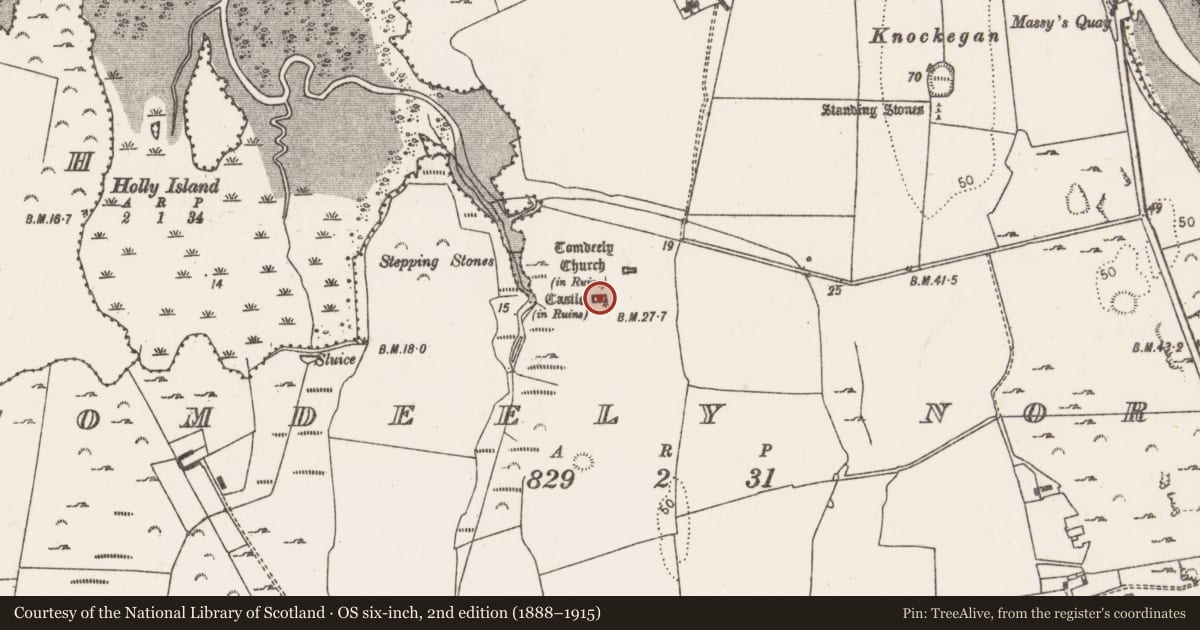Ordnance Survey six-inch map, 2nd edition (1888–1915) covering the location of Castle - hall-house, Tomdeely North, County Limerick, with a pin at the register's coordinates
