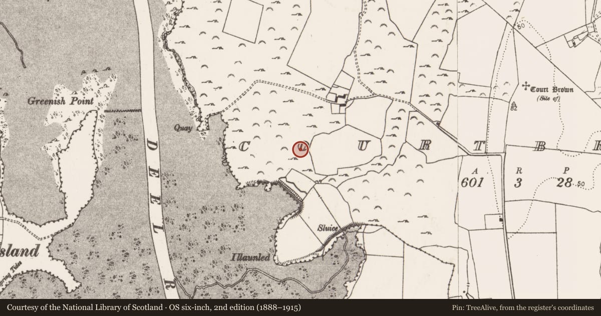 Ordnance Survey six-inch map, 2nd edition (1888–1915) covering the location of Ringfort - rath, Courtbrown, County Limerick, with a pin at the register's coordinates
