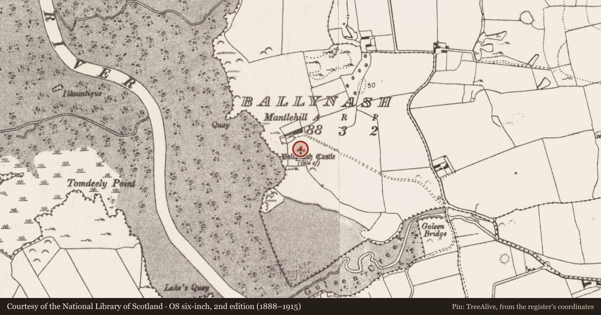 Ordnance Survey six-inch map, 2nd edition (1888–1915) covering the location of Castle - unclassified, Ballynash, County Limerick, with a pin at the register's coordinates