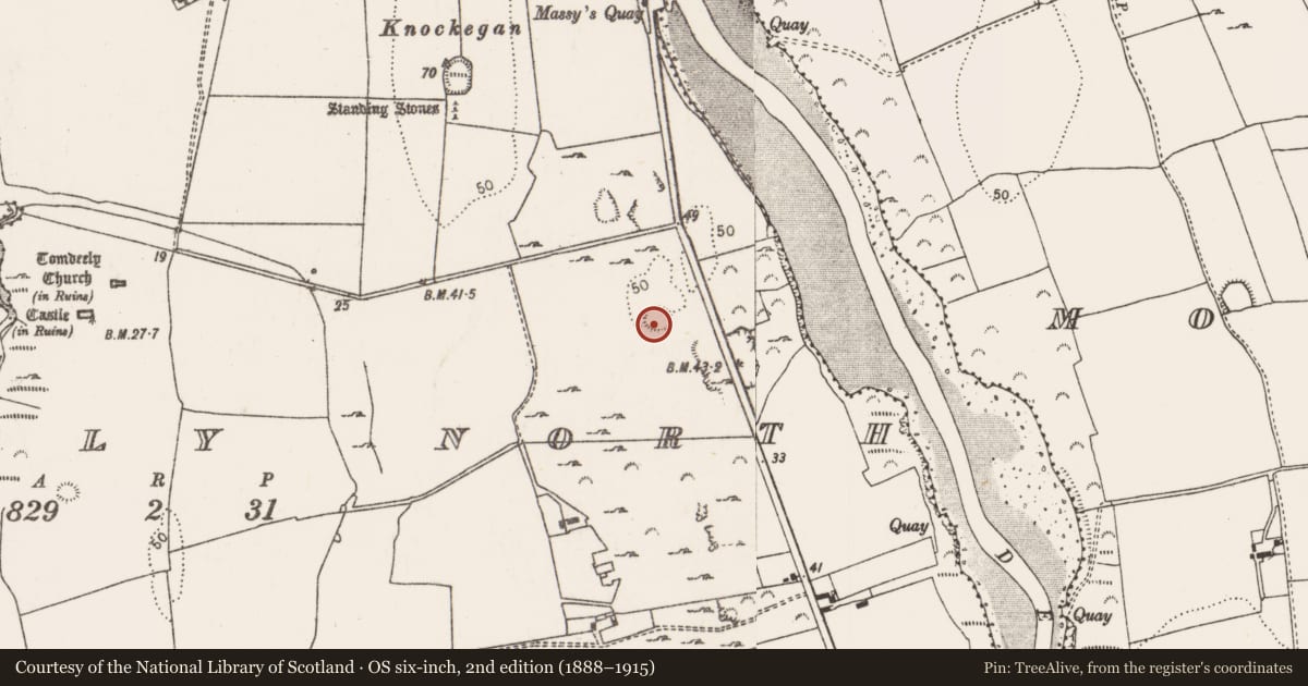 Ordnance Survey six-inch map, 2nd edition (1888–1915) covering the location of Ringfort - rath, Tomdeely North, County Limerick, with a pin at the register's coordinates
