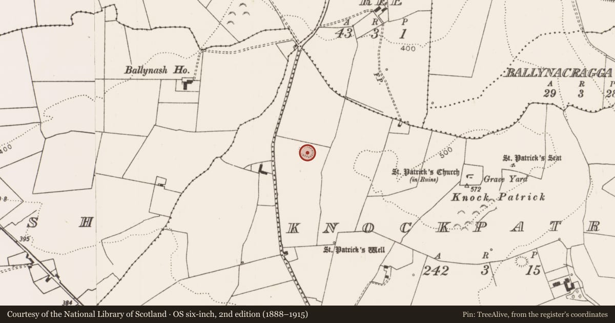 Ordnance Survey six-inch map, 2nd edition (1888–1915) covering the location of Enclosure, Knockpatrick, County Limerick, with a pin at the register's coordinates