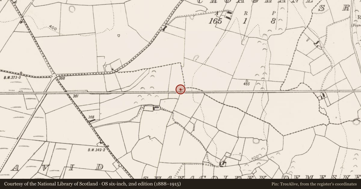 Ordnance Survey six-inch map, 2nd edition (1888–1915) covering the location of Ringfort - rath, Shanagolden Demesne, County Limerick, with a pin at the register's coordinates