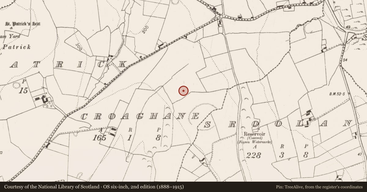 Ordnance Survey six-inch map, 2nd edition (1888–1915) covering the location of Road - road/trackway, Croaghane, County Limerick, with a pin at the register's coordinates