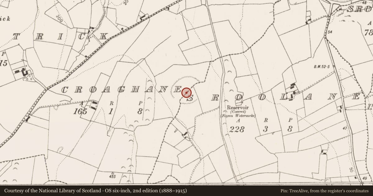 Ordnance Survey six-inch map, 2nd edition (1888–1915) covering the location of Enclosure, Croaghane, County Limerick, with a pin at the register's coordinates