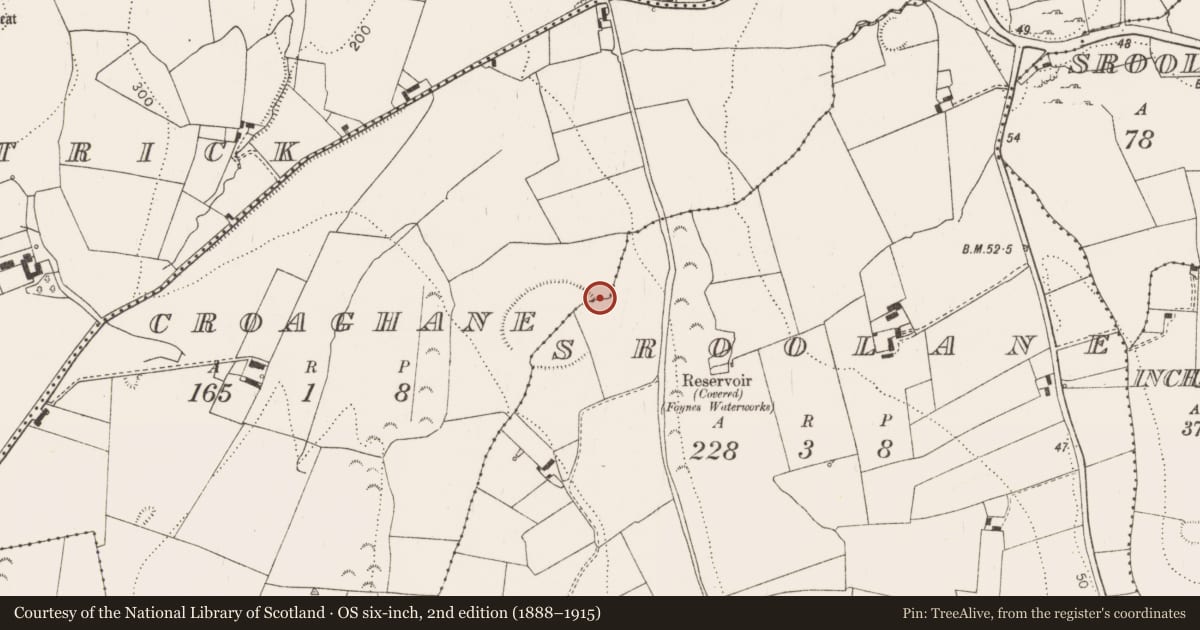 Ordnance Survey six-inch map, 2nd edition (1888–1915) covering the location of Cairn - unclassified, Croaghane, County Limerick, with a pin at the register's coordinates