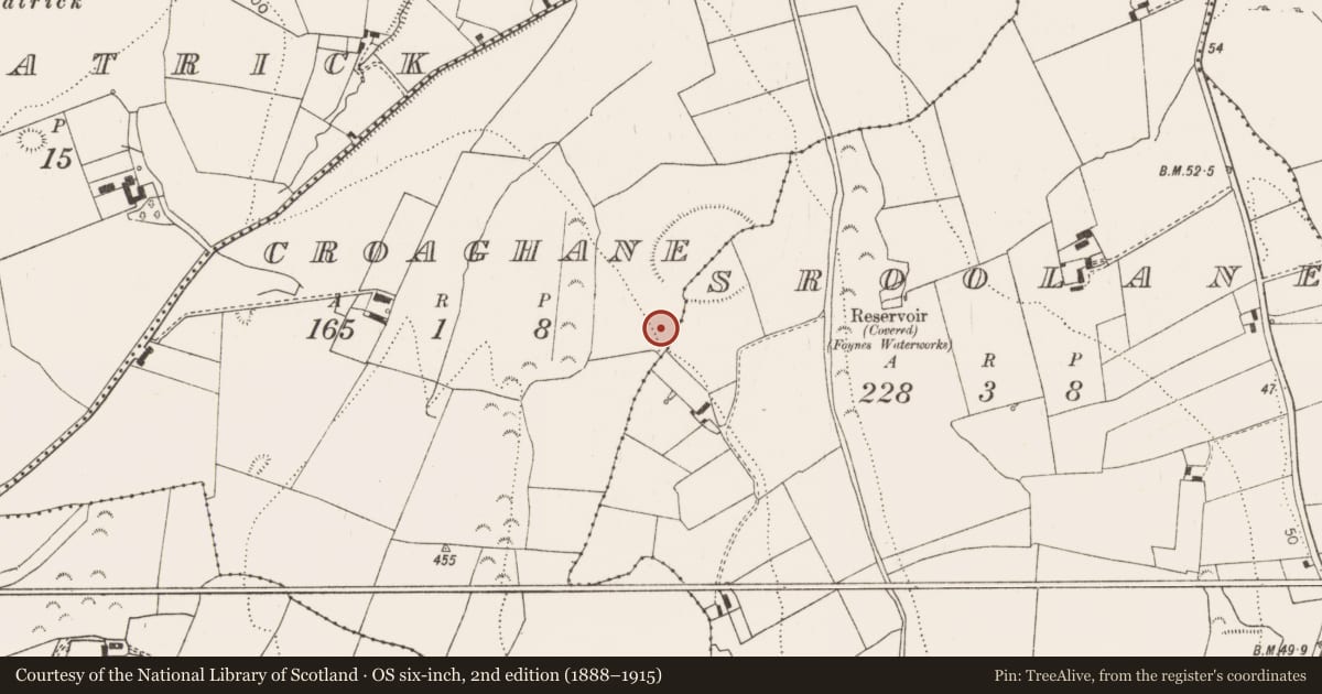 Ordnance Survey six-inch map, 2nd edition (1888–1915) covering the location of Barrow - ring-barrow, Croaghane, County Limerick, with a pin at the register's coordinates