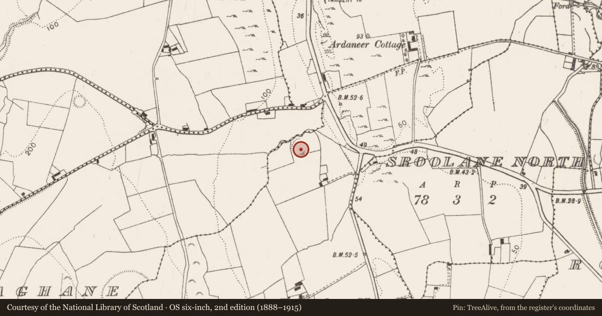 Ordnance Survey six-inch map, 2nd edition (1888–1915) covering the location of Moated site, Sroolane, County Limerick, with a pin at the register's coordinates