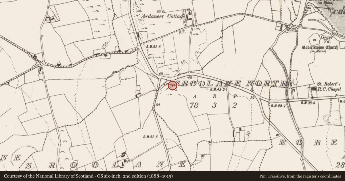 Ordnance Survey six-inch map, 2nd edition (1888–1915) covering the location of Ringfort - rath, Sroolane North, County Limerick, with a pin at the register's coordinates
