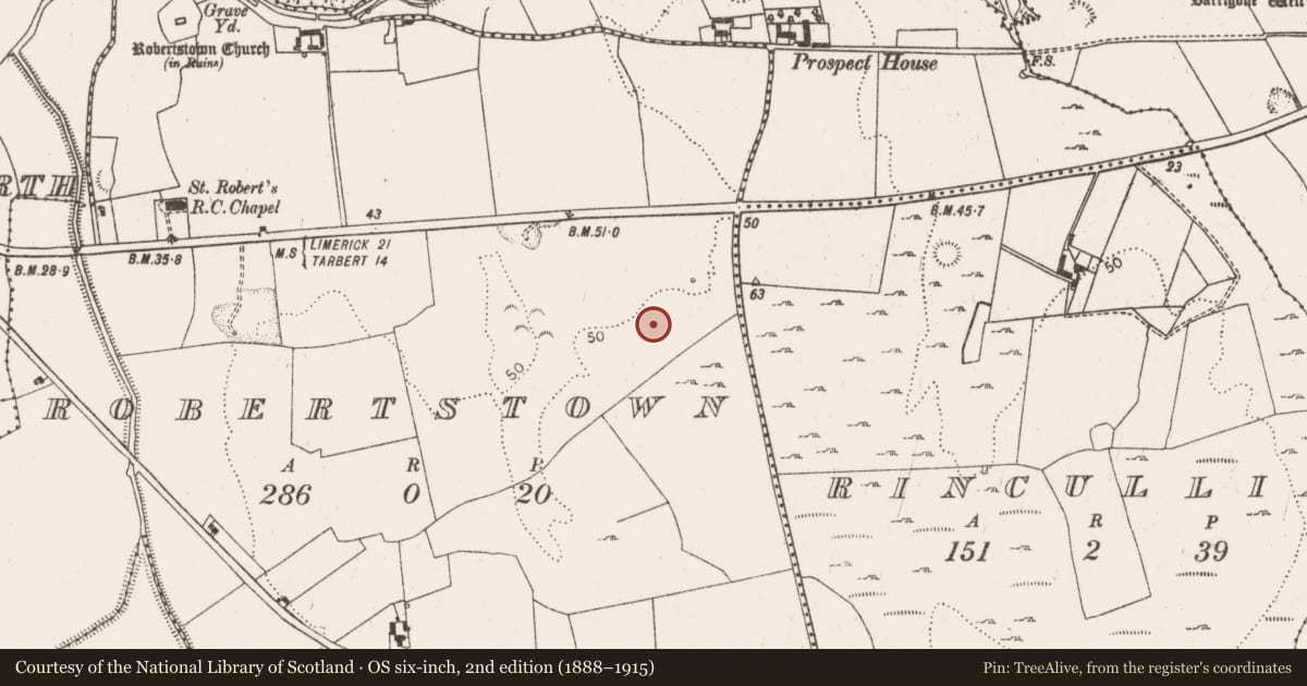 Ordnance Survey six-inch map, 2nd edition (1888–1915) covering the location of Burial ground, Robertstown, County Limerick, with a pin at the register's coordinates