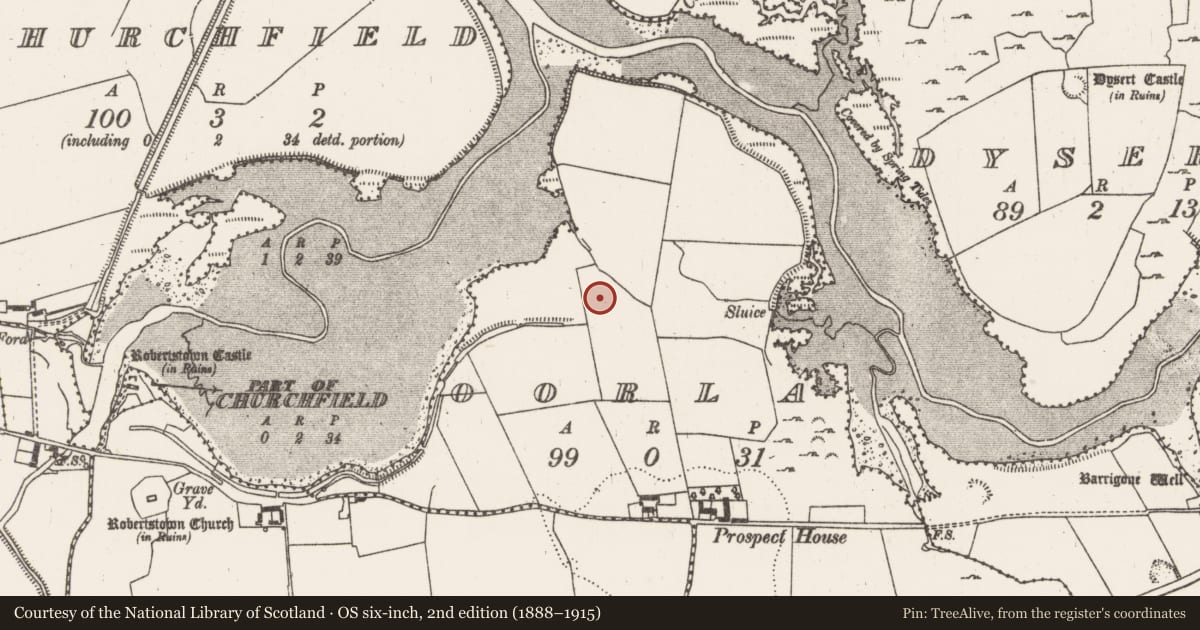 Ordnance Survey six-inch map, 2nd edition (1888–1915) covering the location of Ringfort - rath, Oorla, County Limerick, with a pin at the register's coordinates