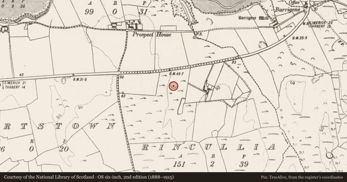Ordnance Survey six-inch map, 2nd edition (1888–1915) covering the location of Ringfort - rath, Rincullia, County Limerick, with a pin at the register's coordinates