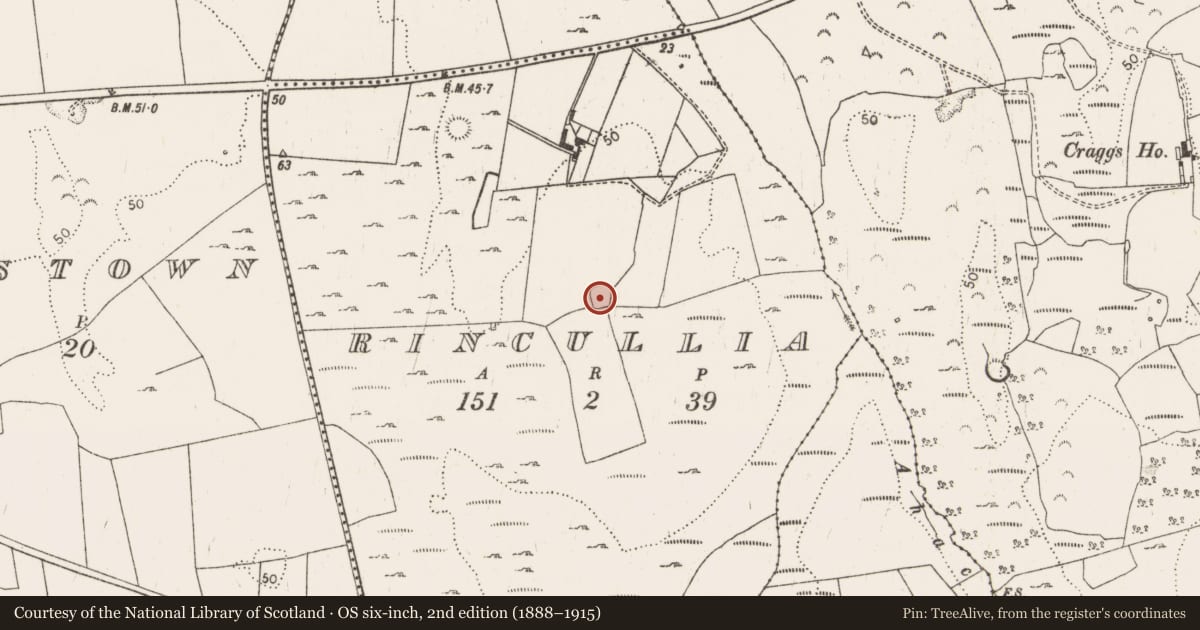 Ordnance Survey six-inch map, 2nd edition (1888–1915) covering the location of Enclosure, Rincullia, County Limerick, with a pin at the register's coordinates