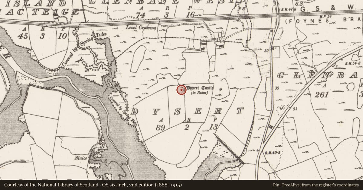 Ordnance Survey six-inch map, 2nd edition (1888–1915) covering the location of Ringfort - rath, Dysert, County Limerick, with a pin at the register's coordinates
