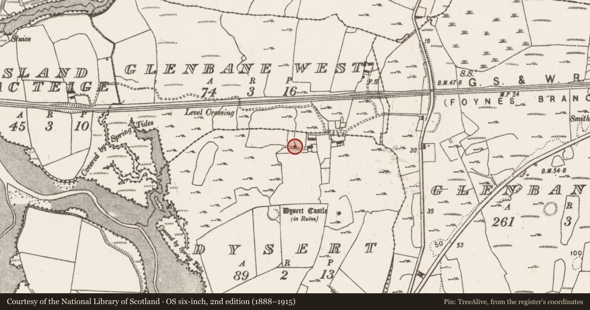 Ordnance Survey six-inch map, 2nd edition (1888–1915) covering the location of Ringfort - rath, Dysert, County Limerick, with a pin at the register's coordinates
