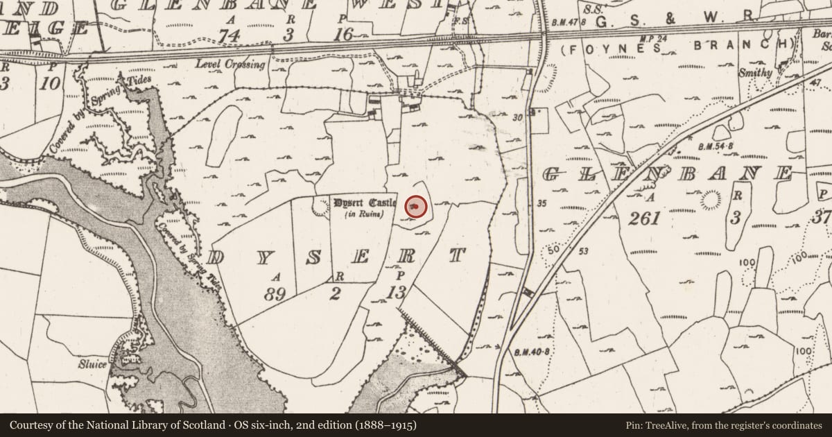 Ordnance Survey six-inch map, 2nd edition (1888–1915) covering the location of Castle - tower house, Dysert, County Limerick, with a pin at the register's coordinates