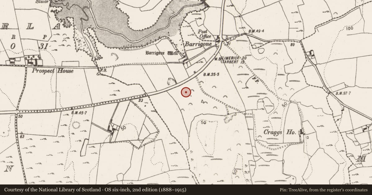 Ordnance Survey six-inch map, 2nd edition (1888–1915) covering the location of Ringfort - rath, Craggs, County Limerick, with a pin at the register's coordinates