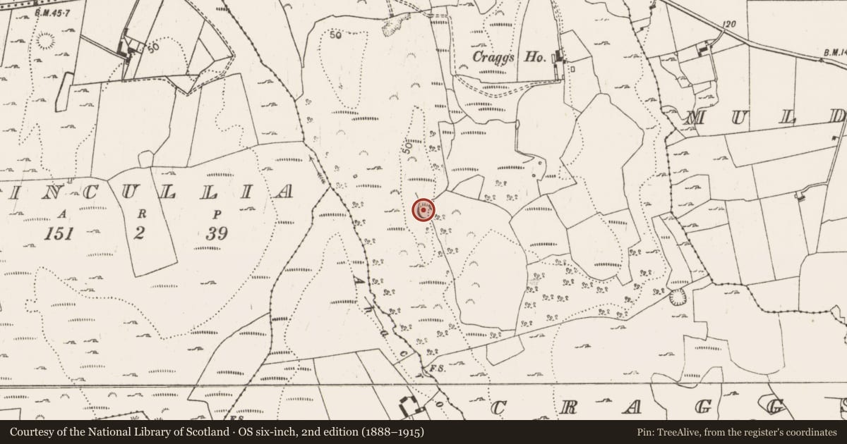 Ordnance Survey six-inch map, 2nd edition (1888–1915) covering the location of Ringfort - rath, Craggs, County Limerick, with a pin at the register's coordinates